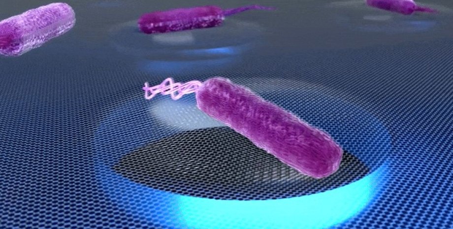 Бактерии, графен, звуки бактерий