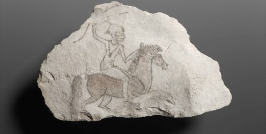 дослідження, останки людини, кінь, їзда верхи, знахідка, древні люди