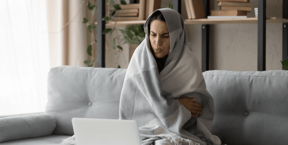 девушка, плед, диван, ноутбук, фото