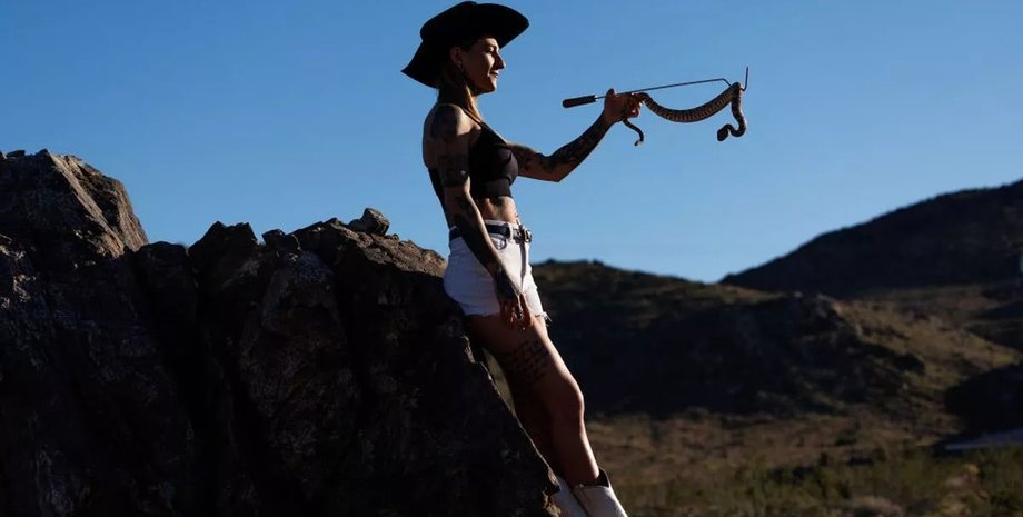 сша, гремучая змея, пустыня, рептилии