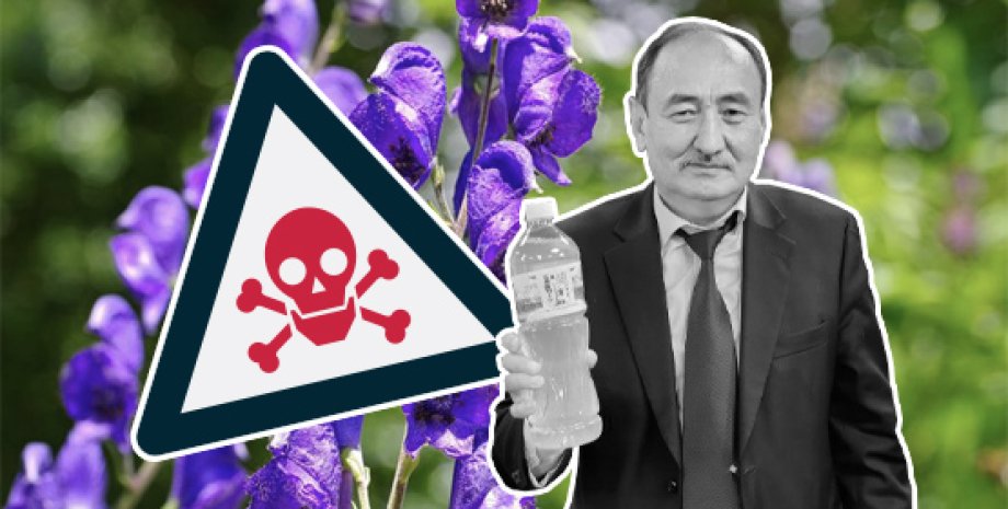Кыргызстан, иссык-кульский корень, коронавирус, COVID-19, Киргизия, ядовитое растение, смерть, что говорят эксперты