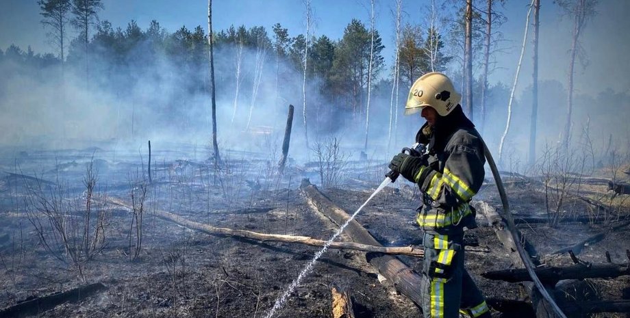 Пожар в Черниговской области – огонь развернулся в сторону РФ