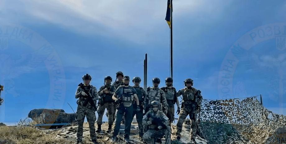 операция на змеином