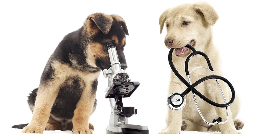 Фото пользователя Spitalul MarcoVet на Google+