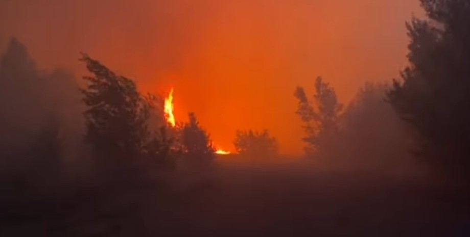 Пожежа в Чорнобильській зоні