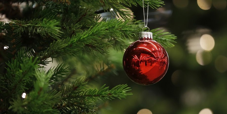 University of Sheffield