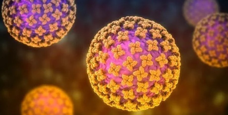 вірус вірус