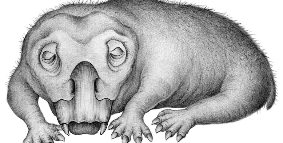 Фото: Crystal Shin