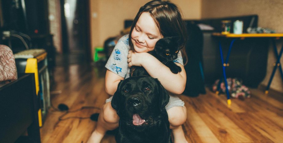 Дівчинка обіймається з собакою та котом кіт собака