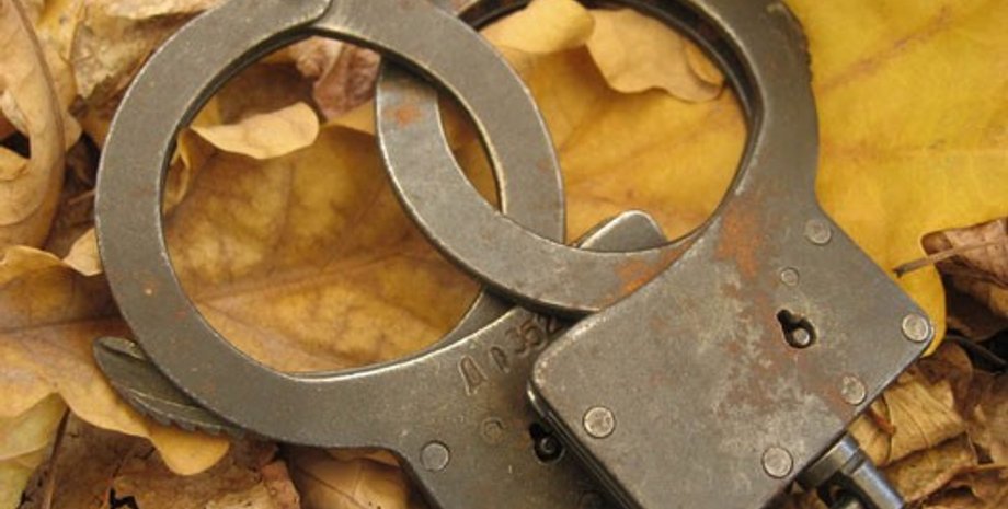 Фото из открытых источников