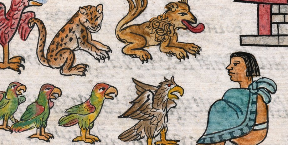 Ученые изучили останки животных