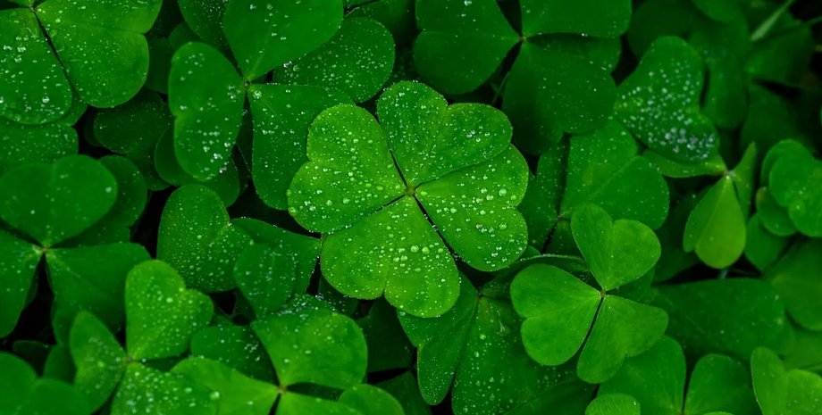 суеверия, удача