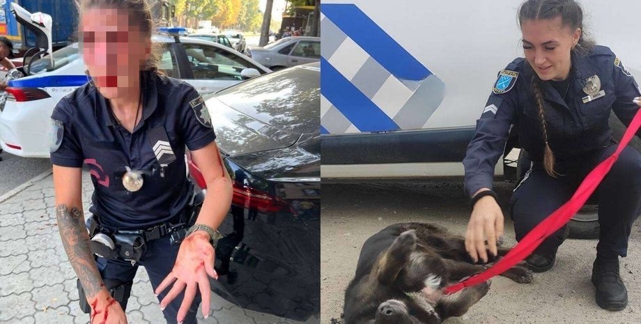 новости днепра, анастасия жила, патрульная полицейская днепр, мужчина избил патрульную