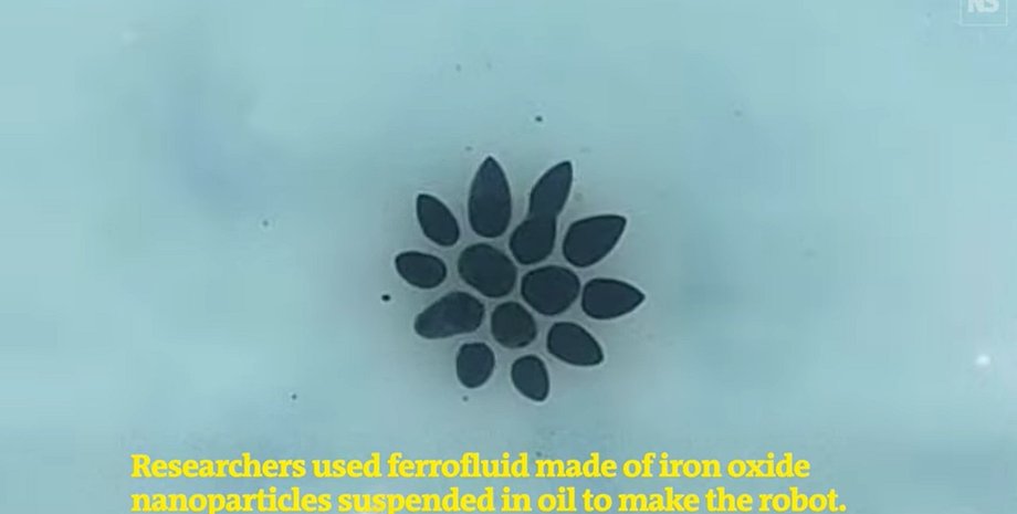 жидкий робот, робот