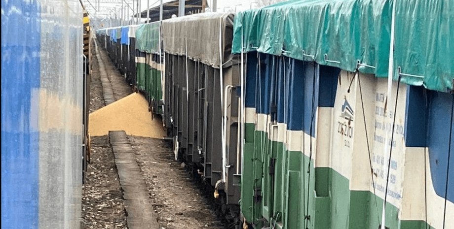 ситуация на польской границе, польские фермеры, что происходит на границе с Польшей, украинское зерно, рассыпали бобы