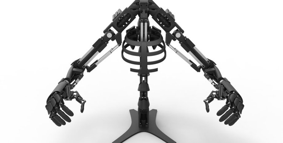 Фото: Pingvin.Pro