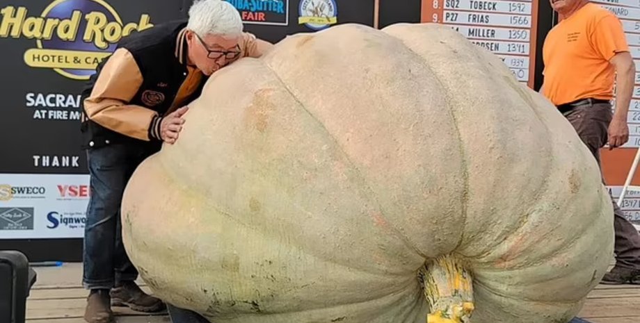 Чемпионат мира по самой тяжелой тыкве, взвешивание тыкв, конкурс, деньги, приз, побил мировой рекорд, фермер с Канады