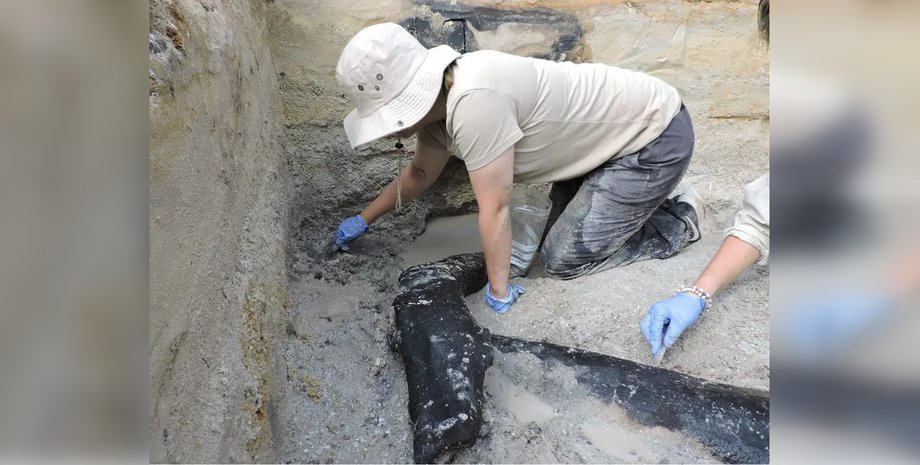 Артефакты сохранились благодаря заболоченной местности в районе Каламбо-Фолс