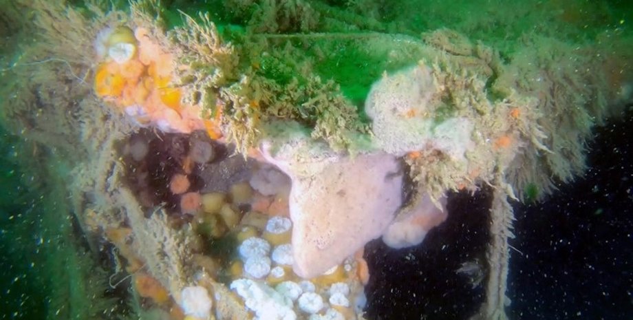 корабль, затонувший корабль