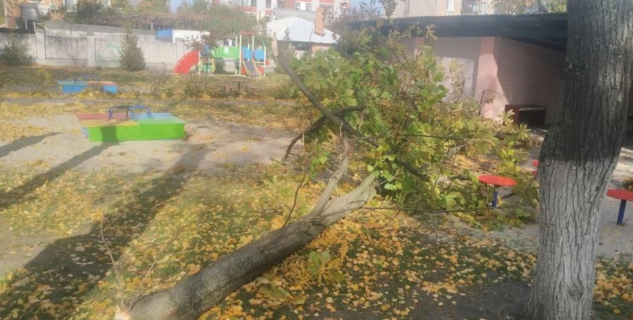 У Кременчуці померла 4-річна дівчинка після падіння дерева