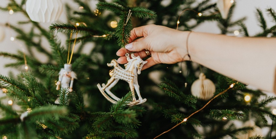 ялинка, купити ялинку, скільки коштує ялинка, продаж ялинки, ціна ялинка, ціна сосна, де купити ялинку