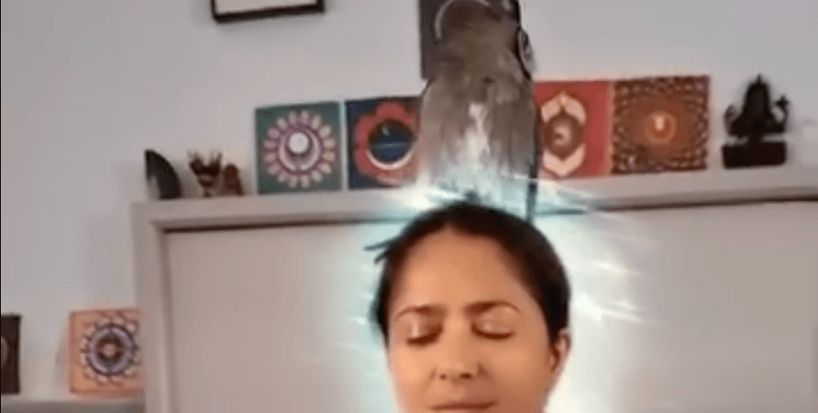 Сальма Хайек, Сальма Хайек сова, керинг, муж сальмы хаек, франсуа-анри пино, медитация, домашняя сова