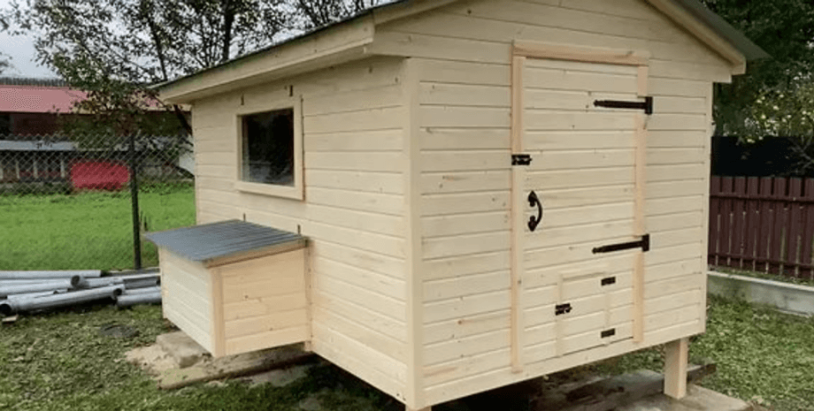 Курятник за 52000 гривен