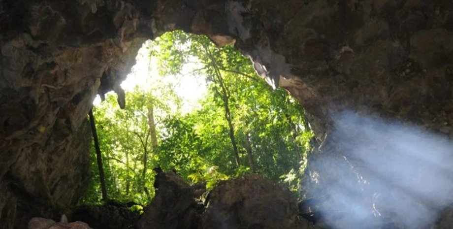 летучие мыши, фекалии, климат, Земля