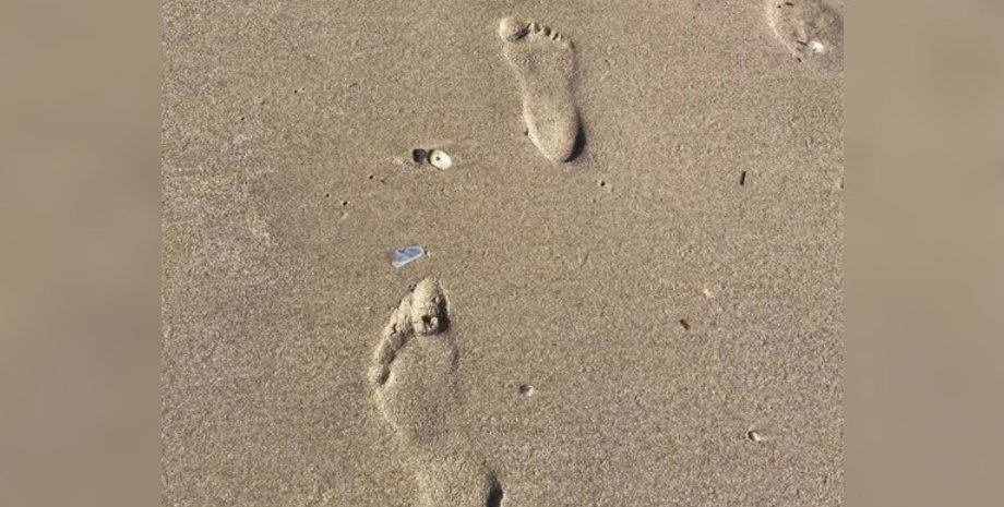 Неочікувана оптична ілюзія поставила в ступір мережу: що видно насправді