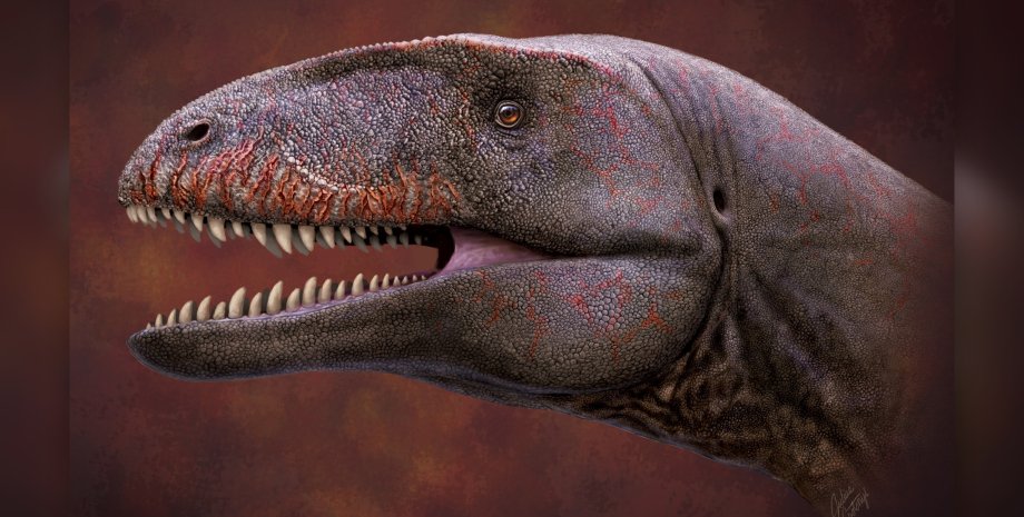 U. uzbekistanensis, динозавр, зубы, изображение