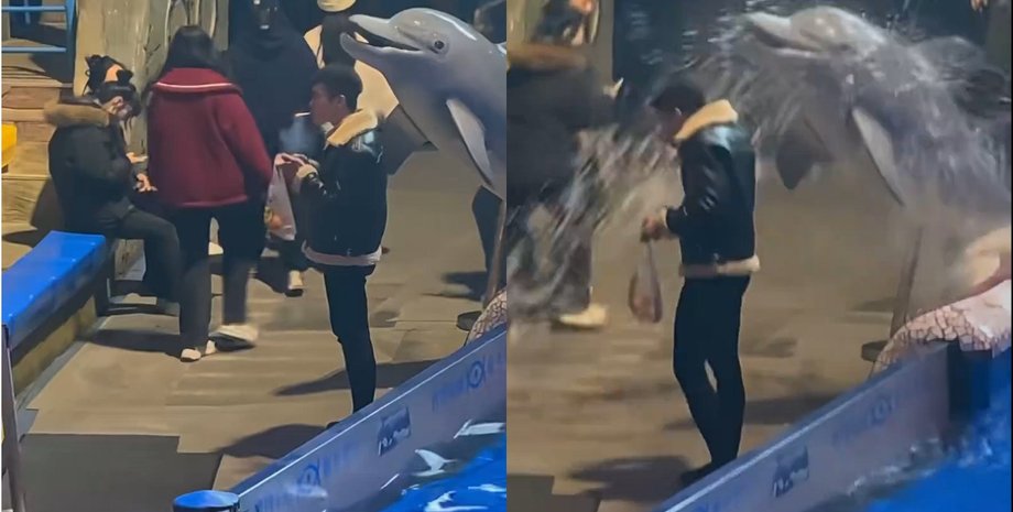 "Бросай курить": белуга "погасила" мужчину и отучила его от вредной привычки