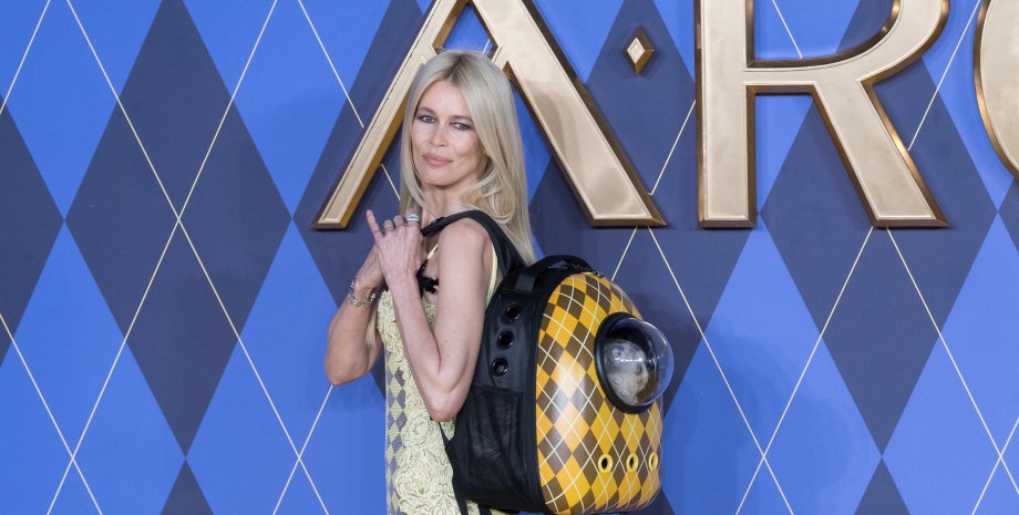 клаудия шиффер кот клаудия шиффер, кот чип, аргайл