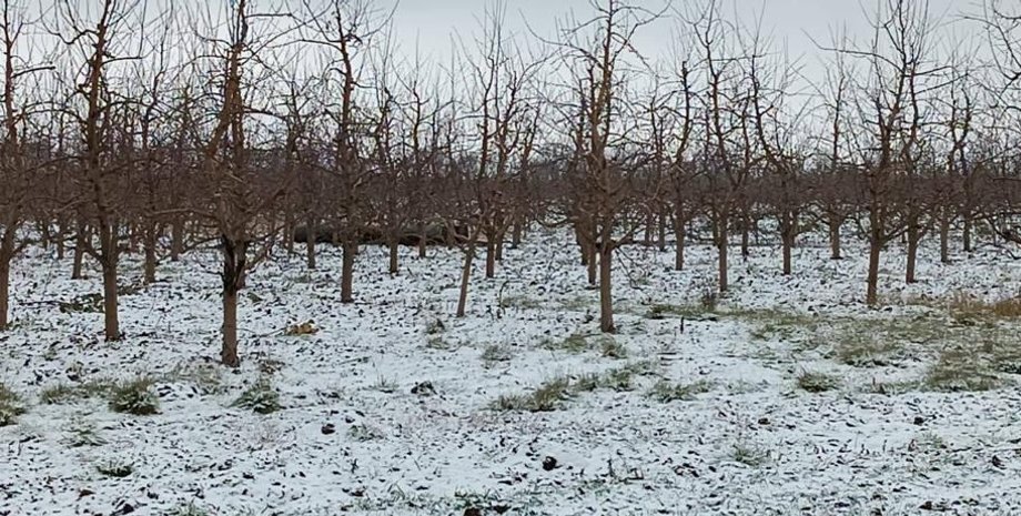 с 300, ракета, молдова