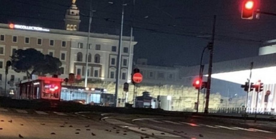 мертвые птицы, Рим, Италия