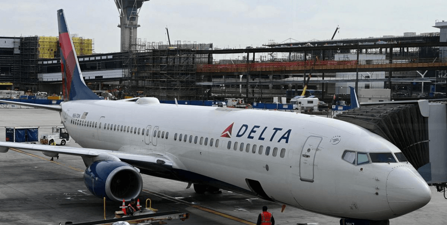 Самолет, аэропорт, пчелы, насекомые, крыло, посадка,