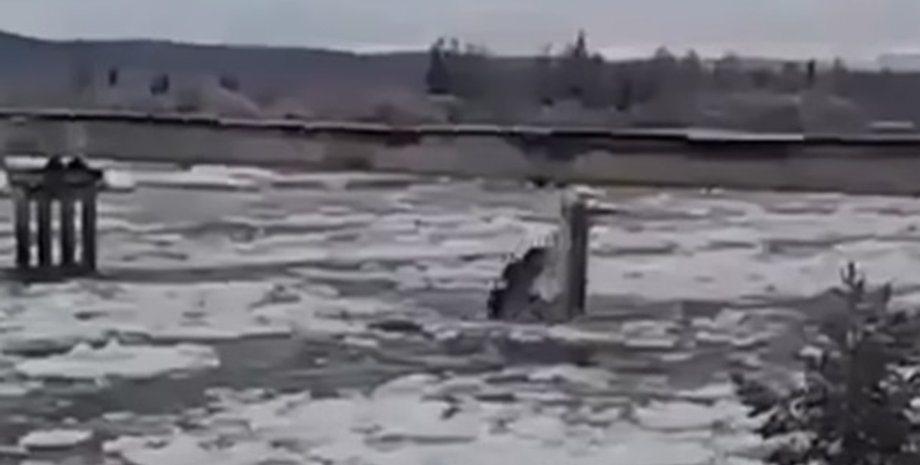 Фото: скриншот