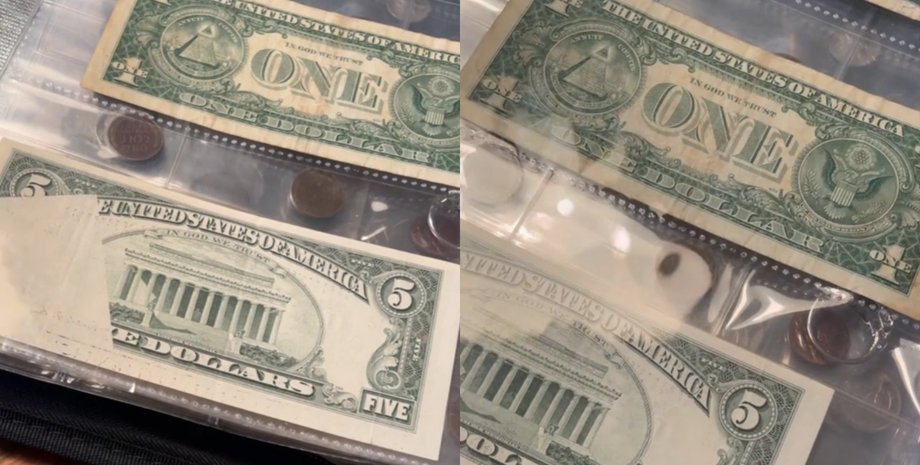 Рідкісна банкнота, 5 доларів, гроші, спадок від бабусі, знахідка, рідкість для колекціонерів, помилка під час друку, помилка на грошах