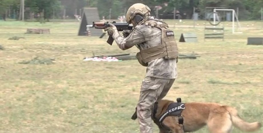 Фото: Скриншот из видео