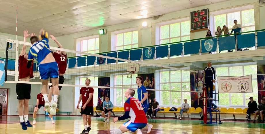 Волейболисты, мобилизация в Украине, решетиловка, война в Украине, бельгия, волейбол, уклонисты