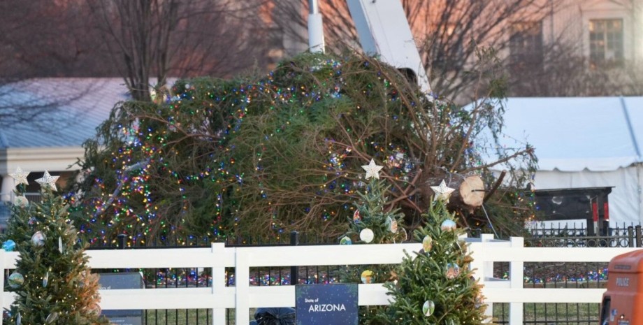 Главная елка США, падение рождественской елки, Джо Байден, Рождество, Новый год, курьезы, видео