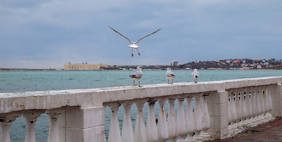 Севастополь