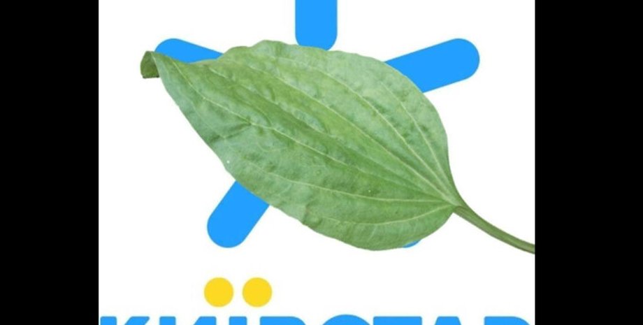 киевстар, атака, мобильная связь