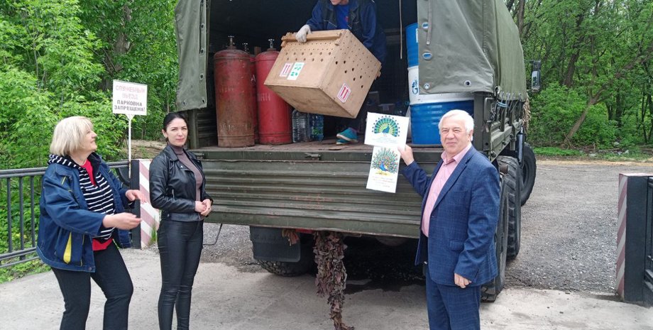 павлины, павлин, Россия, Липецкий зоопарк, гуманитарная помощь ВС РФ