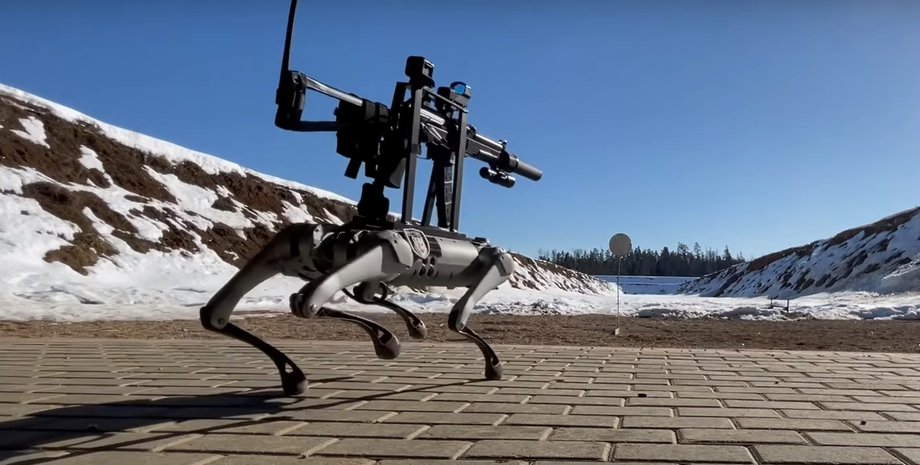 Робот-пес, Skynet