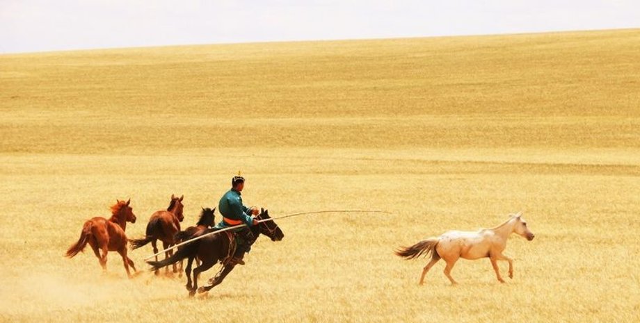 лошадь, генетика, эволюция, ДНК, одомашнивание, исследования, гены, разведение, Евразия, геном, хронология, наука, распространение, поколение, селекция
