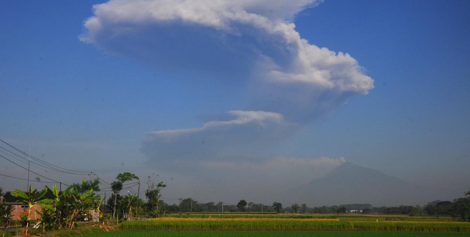 Фото: Antara / Aloysius Jarot Nugroho