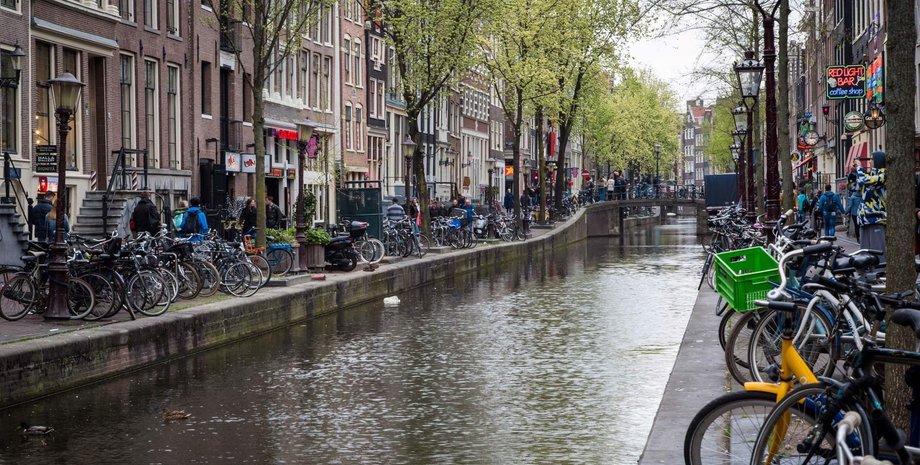 украинцы в Нидерландах, Амстердам , Гаага.