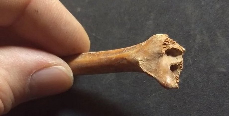 Кость в руці