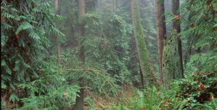 SCIENCE PHOTO LIBRARY