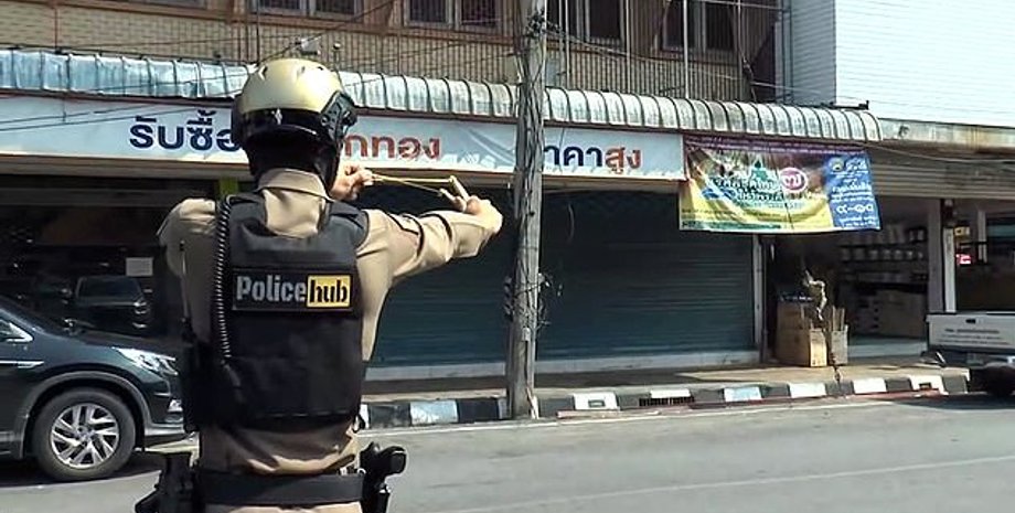 Полиция Таиланда охотится за обезьянами